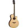 APX600 Electro-Acoustic Guitar 