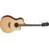 B Grade Refurbished APX600 Electro-Acoustic Guitar