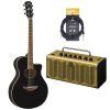 APX600 Electro-Acoustic Guitar Exclusive Package