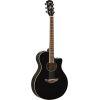 APX600 Electro-Acoustic Guitar Exclusive Package