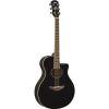 APX600 Electro-Acoustic Guitar In Black Finish