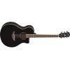 APX600 Electro-Acoustic Guitar In Black Finish
