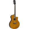 APX600FM Electro-Acoustic Guitar