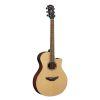 APX600M Electro-Acoustic Guitar