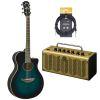 APX600 Electro-Acoustic Guitar Exclusive Package