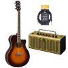 APX600 Electro-Acoustic Guitar Exclusive Package