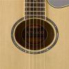 APX600 Electro-Acoustic Guitar