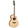 APX700II 12-String Electro-Acoustic Guitar