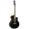 APX700II 12-String Electro-Acoustic Guitar