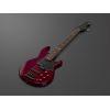 BB 735A Electric 5 String Bass Guitar