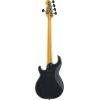 BBP35 MK II Pro Series 5-String Bass Guitar