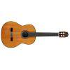 C10 Cedar Classical Guitar