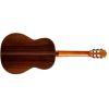 C10 Cedar Classical Guitar