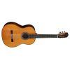 C10 Cedar Classical Guitar