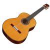 C10 Cedar Classical Guitar