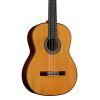 C10 Cedar Classical Guitar