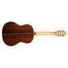C10 Crossover SP Classical Guitar
