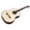 C10 Crossover SP Classical Guitar
