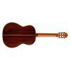 C10 Spruce Classical Guitar