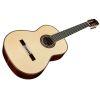 C10 Spruce Classical Guitar