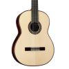 C10 Spruce Classical Guitar