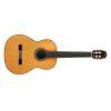 C12 CD Classical Guitar with Case