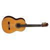 C12 CD Classical Guitar with Case