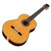 C12 CD Classical Guitar with Case