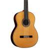 C12 CD Classical Guitar with Case
