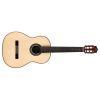 C12 SP Classical Guitar With Case