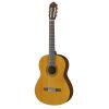 C40II Classical Guitar Performance Package
