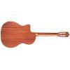 C4-CE Classical Guitar