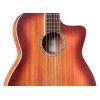 C4-CE Classical Guitar