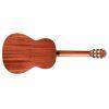 C9 CD W/C Classical Guitar