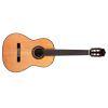 C9 Parlor Cedar Classical Guitar