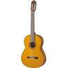 CG142 Classical Guitar