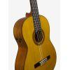 CG-TA TransAcoustic Classical Guitar