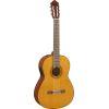 CGX122MS  Electro-Classical Guitar