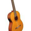 CGX122MS  Electro-Classical Guitar