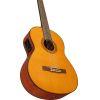 CGX122MS  Electro-Classical Guitar
