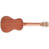 Ukulele Player Pack Concert Ukulele