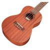 Ukulele Player Pack Concert Ukulele