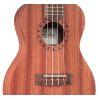 Ukulele Player Pack Concert Ukulele