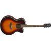 CPX600 Electro-Acoustic Guitar In Old Violin Sunburst Finish