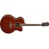 CPX600 Electro-Acoustic Guitar In Root Beer Finish