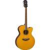CPX600 Electro-Acoustic Guitar In Vintage Tint