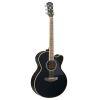 CPX700 II Electro Acoustic Guitar