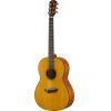 CSF1M Acoustic Guitar 