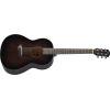 CSF1M Acoustic Guitar