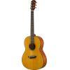 CSF1M Acoustic Guitar In Vintage Natural Finish